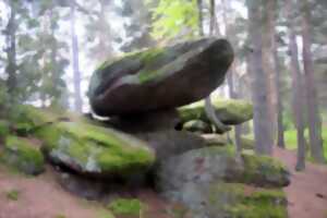 photo Club Vosgien : Les pierres tremblantes