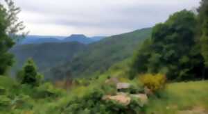 photo Club Vosgien : La côte de Plaine