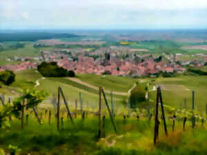 photo ALSACE ROCKS ! La Tournée des Terroirs - Etape #7