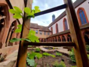 photo Conférence : La cure de printemps