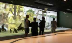 photo Le Rhin et ses milieux, des aménagements aux projets de restauration