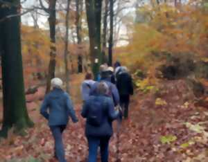 photo Balade entre Weinbourg et Sparsbach