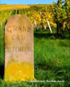 photo Visite sportive commentée 