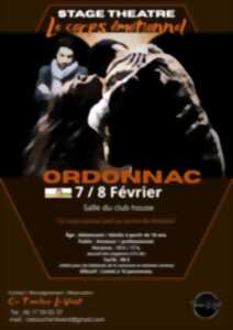 photo Stage de théâtre : le corps émotionnel