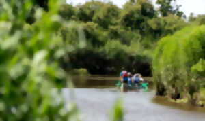 photo Célébrez les Zones Humides en canoë sur la Leyre et à pied dans la Réserve ornithologique du Teich !