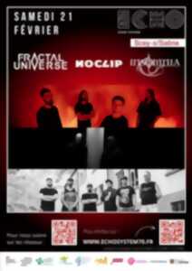photo Soirée Metal : Fractal Universe + No Clip + Insomnia