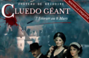 photo Cluedo géant