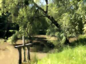 photo Journée des zones humides