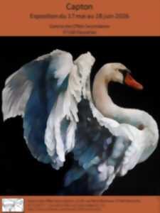 photo Exposition CAPTON