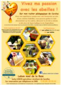 photo Expérience de Destination : Vivez ma passion avec les abeilles !