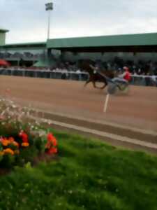 photo Courses hippiques