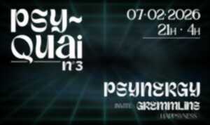photo PSY-QUAI N°3