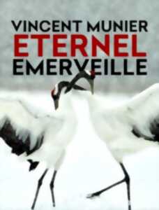 photo Vincent Munier, éternel émerveillé, 2019