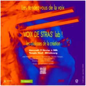 photo Voix de Stras' lab !