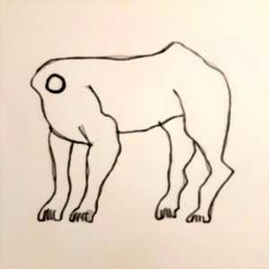 photo Ni queue ni tête