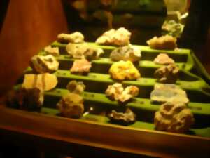 photo Musée de la géologie