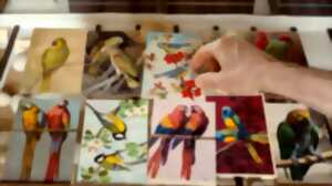 photo Langue des oiseaux