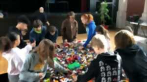 photo [Enfance Jeunesse] Lego challenge Fleurs