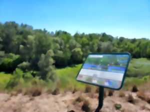 photo La biodiversité dans la petite jungle Alsacienne