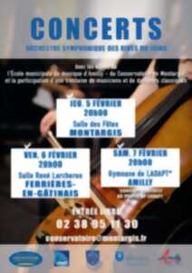 photo Concert - Orchestre symphonique des Rives du Loing