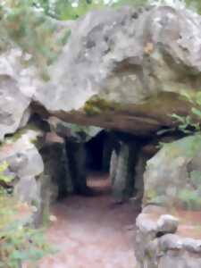 photo RANDONNEE EN FORET DE FONTAINEBLEAU - LES GORGES DE FRANCHARD