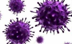 photo Conférence UTL « Les épidémies vues par les mathématiques »