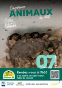 photo [Conférence] Animaux du bâti