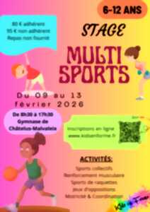 photo Stage multi sports