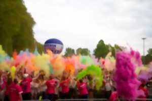 photo Color Dole 2026