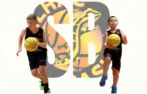 photo Stage de perfectionnement basket