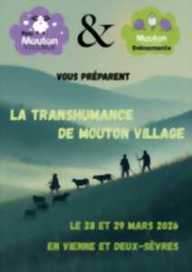 photo Transhumance de Mouton Village