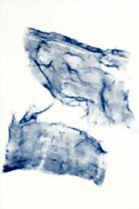 photo Exposition - Restitution des ateliers de pratique artistique