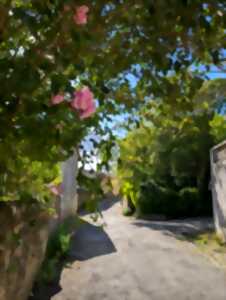 photo Octobre rose à Sainte-Colombe-en-Brulhois