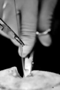 photo EXPOSITION PHOTOGRAPHIES 