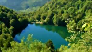 photo Séjour Les Hauts de la Doller