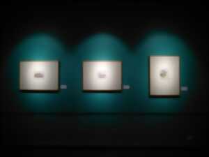 photo Exposition Georges Scoufos