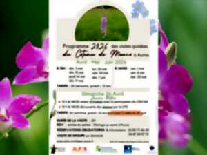 photo Visite des orchidées du sentier de Monco