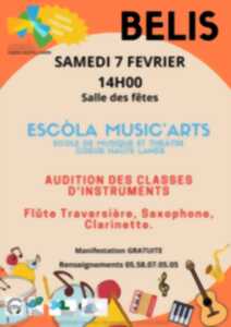 photo AUDITION DES ÉLÈVES DE L'ESCOLA MUSIC'ARTS (École de Musique et de Théâtre Cœur Haute Lande).