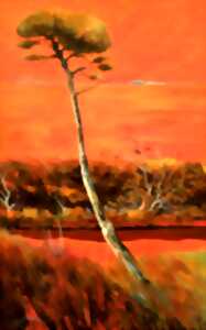 photo Exposition - Jean-Yves Jodeau et Philippe Guilbeau