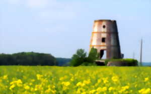 photo Ecorando à Crucey-Villages