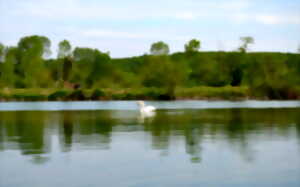 photo Ecorando à Vert-en-Drouais