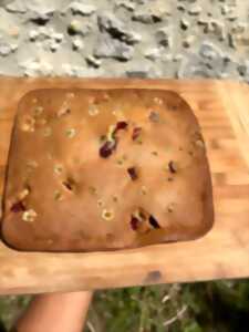 photo Animation nature en famille : Cuisine Sauvage