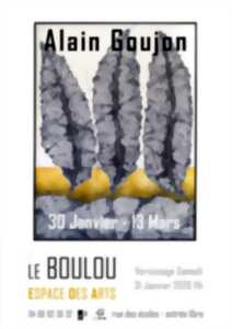 photo EXPO D'ALAIN GOUJON A L'EDA LE BOULOU