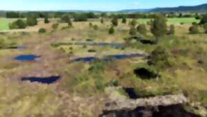 photo 40 ans en réserve naturelle : quelles avancées ?