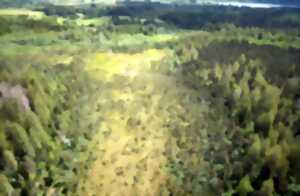 photo Conférence Marc-André Sélosse et les mystères du sol