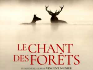 photo Ciné Plus Limousin - Le chant des forêts