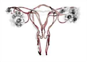 photo Le Chœur des femmes