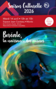 photo Boréale, la naissance des aurores