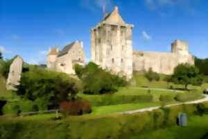 photo Visite guidée du château médiéval