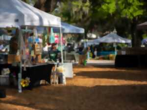 photo Vide Grenier à Etauliers